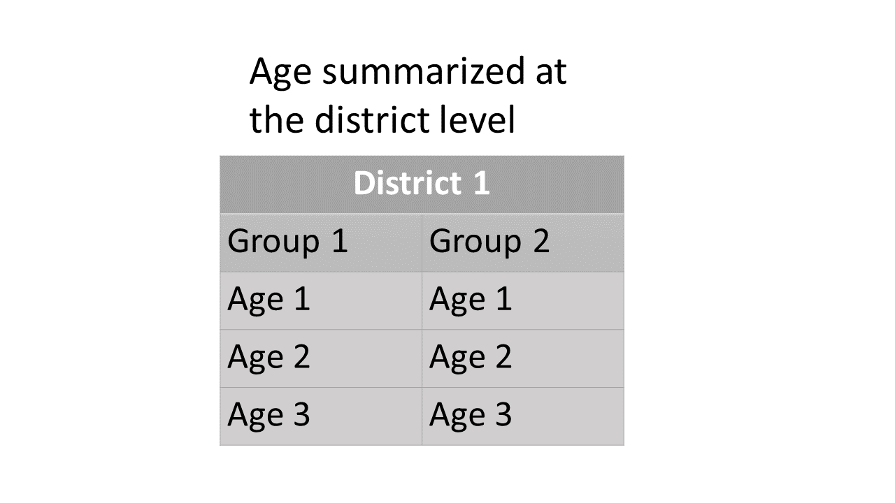 age_summ at the district level: Summary scheme of age-by-stock composition at the district level.