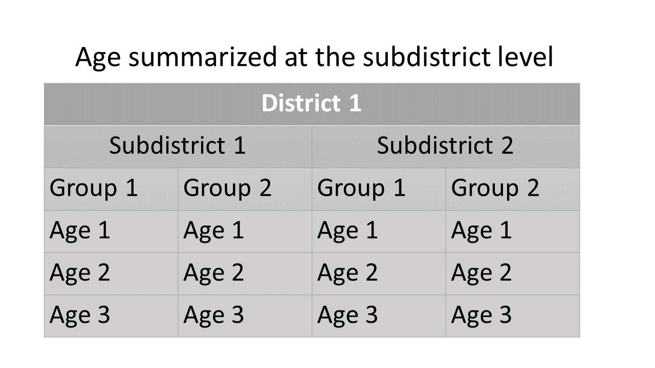 age_summ at the subdistrict level: Summary scheme of age-by-stock composition at the subdistrict level.